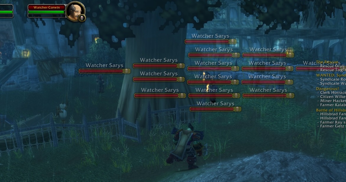 bug.jpg