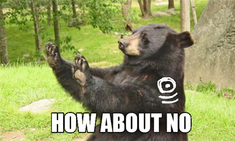 bear.jpg